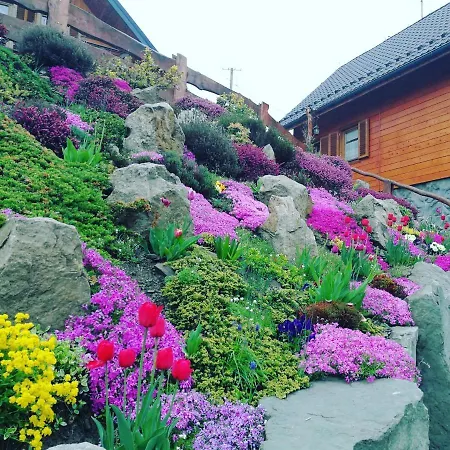Hébergement de vacances Przystanek Beskidy